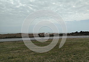 Browning field with overcast sky