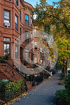 Brownstones and autumn color in Park Slope, Brooklyn, New York City photo