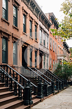 Brownstones in Greenpoint, Brooklyn, New York City