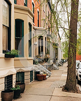 Brownstones near Filter Square, in Philadelphia, Pennsylvania