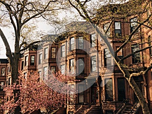 Brownstones in Park Slope, Brooklyn, New York City photo