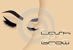 Brows and lashes lettering. Vector illustration of lashes and brows. For beauty salon, lash extensions maker, brow