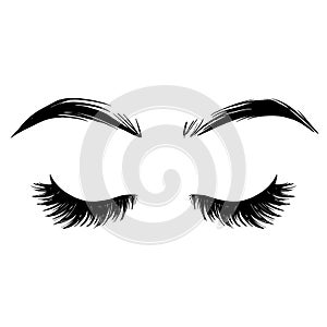 Brows and lashes vector illustration. Beautiful Eyelashes.