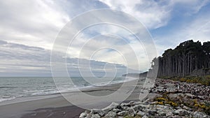 Bruce bay on the West Coast of New Zealand