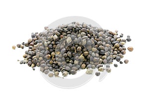 Brucea javanica (L.) Merr