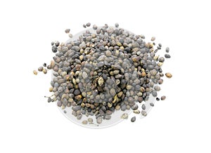 Brucea javanica (L.) Merr