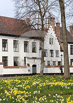 Bruges beguinage in springtime