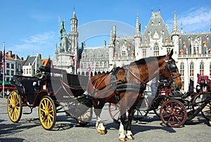 Brugge. Horse-driven cab.