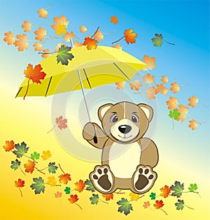 Bruin with umbrella. Autumn composition