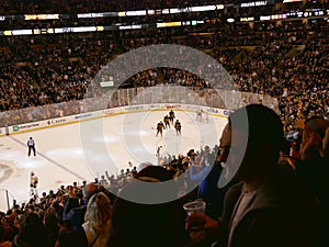 Bruins crowd celebrates ice hockey goal