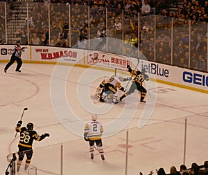 Bruins ice hockey goal