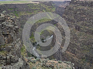 Bruneau Canyon