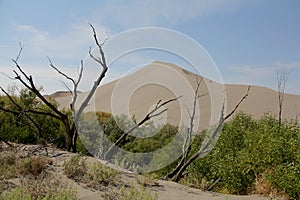 Bruneau dunes, idaho, usa