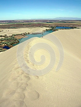 Bruneau Sand Dunes