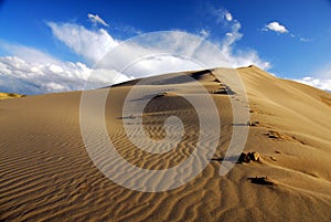 Bruneau Sand Dunes