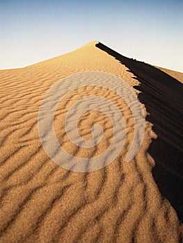 Bruneau Sand Dunes