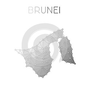 Brunei Darussalam polygonal vector map.