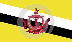 Brunei flag image