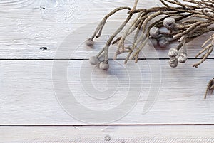 Brunei flowers on white wooden background
