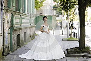 Brunet bride posing