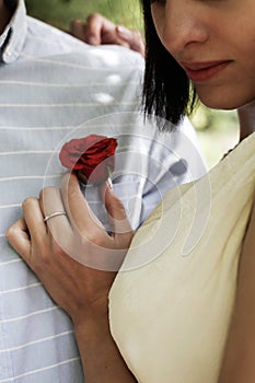 Brunette bride puts groom on boutonniere - one red rose on wedding day. Hands of new wife on husband chest in blue shirt