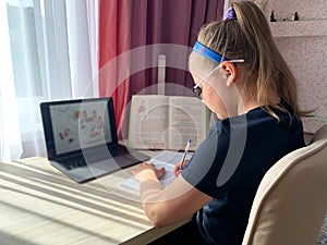 Brunette girl doing lessons on the computer.