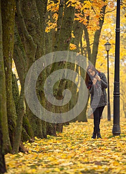 Brunette posing against the backdrop of autumn trees. Lonely woman enjoying nature landscape in autumn.