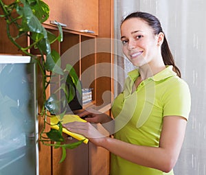 Brunette woman cleaning wooden furiture