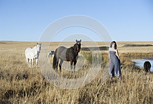 Brunette woman in field standing next to horses
