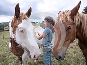 Brunette woman sending healing energy, Reiki like, to an american paint horse, while a Hispano breton horse waits