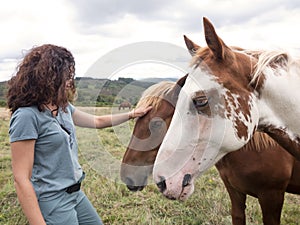 Brunette woman stroking a Hispano breton horse and a american paint horse waiting.