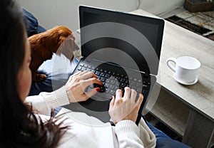 Brunette woman typing on keyboard on a laptop, with coffee mug in front of her and dog next to her