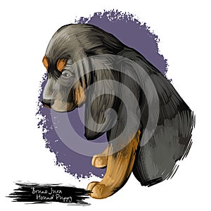 Bruno Jura Hound puppy digital art illustration