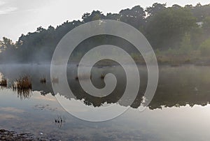 Brunsummerheide a national park in South Limburg ith morning fog over the swamp during sunrise