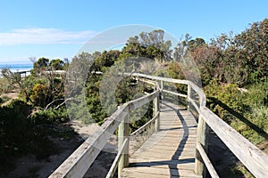 Bruny Island Bush Trail