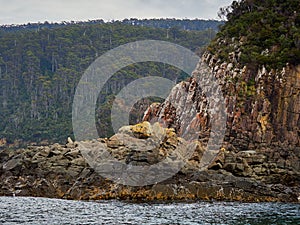 Bruny Island cliff face and rocks photo