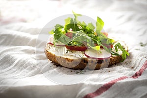 Bruschetta with radish, ruccola and cheese spread