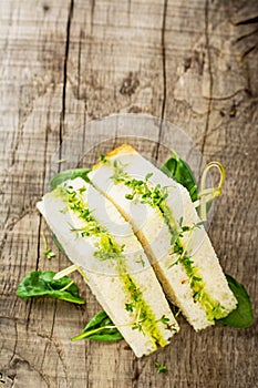 Bruschetta with watercress salad