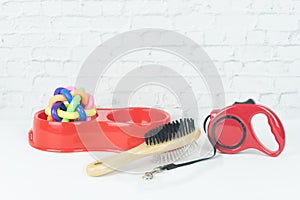 Brush, bowl, leashes and toy for pet on white background.