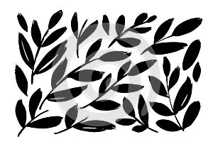 Brush branches with long leaves vector collection. Set of black silhouettes leaves and branches. Hand drawn eucalyptus foliage