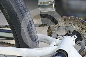 A brush for cleaning the bike chain