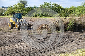 Brush clearing photo