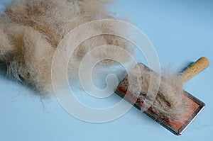 Brush for combing dogs and a pile of wool on a light turquoise background