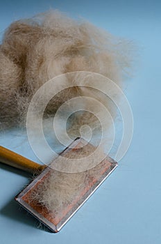 Brush for combing dogs and a pile of wool on a light turquoise background