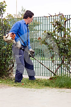 Brush cutting