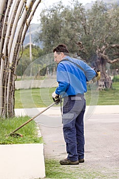 Brush cutting