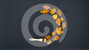 The brush draws a round frame of beautiful autumn yellow and brown maple, oak and birch leaves. Black background