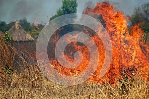 Brush Fire photo