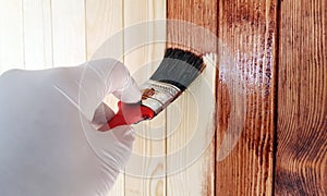 Brush in hand painting on the wooden wall