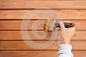 Brush in hand and painting on the wooden wall